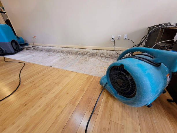 Professional Structural Drying technician working in Norton, MA